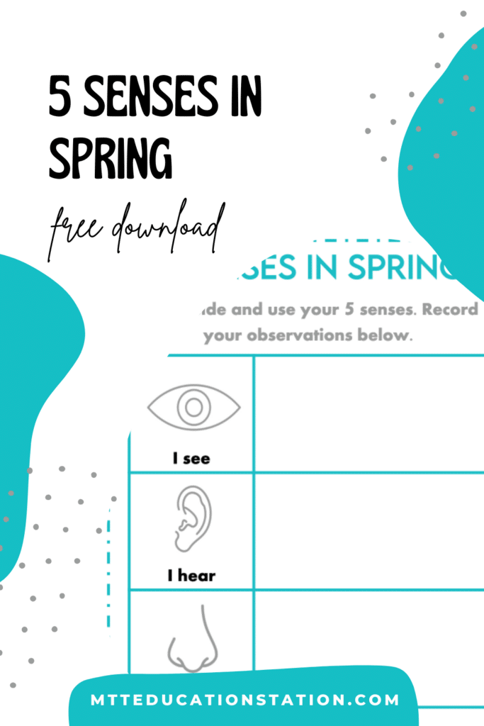 5 senses in spring download