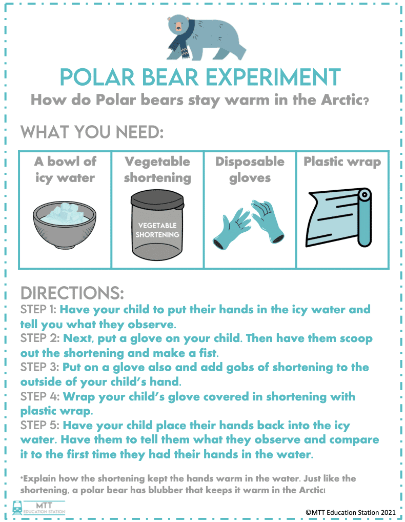 Polar bear experiment download
