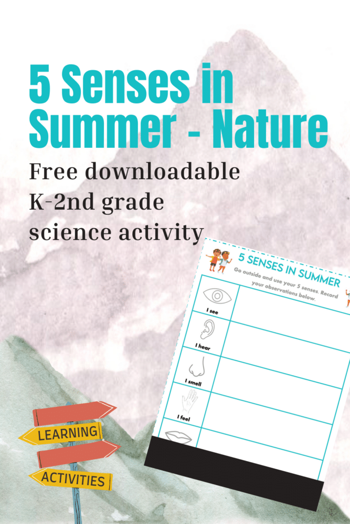 5 senses in summer science activity for kindergarten - second grade