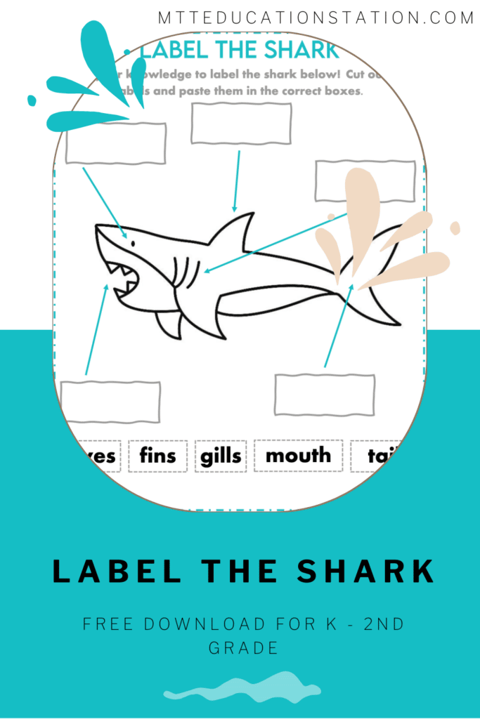 Practice labeling the parts of a shark with this kindergarten - 2nd grade activity. Download for free here.